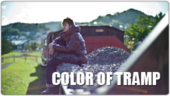 COLOR OF TRAMP